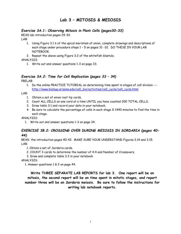 lab three mitosis and meiosis answer key