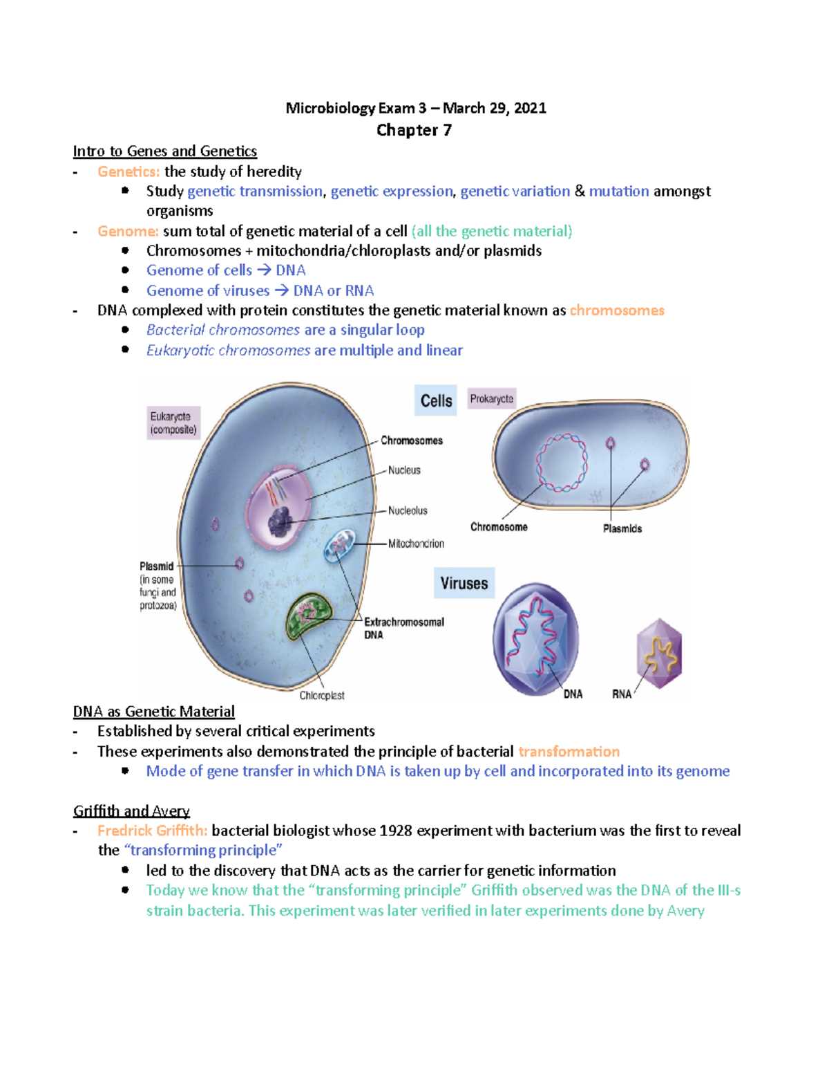 microbiology exam 3 answers