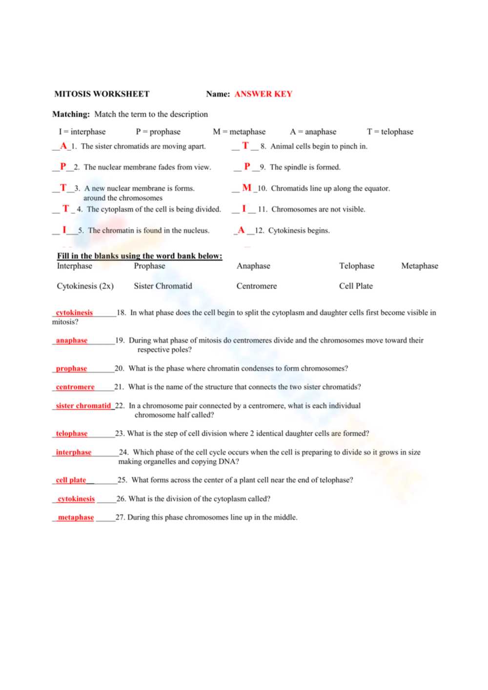 mitosis exam questions and answers