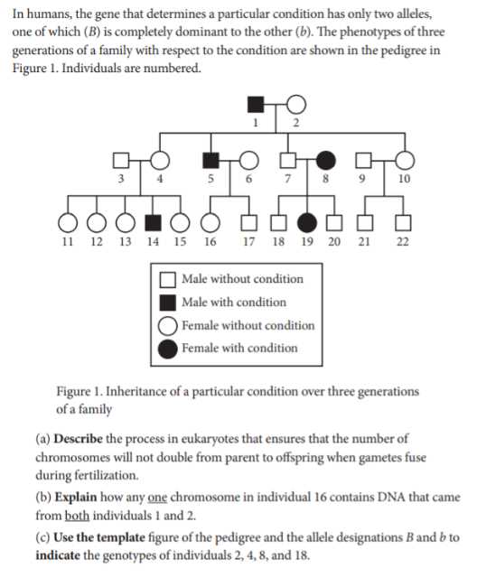 molecular biology exam questions and answers