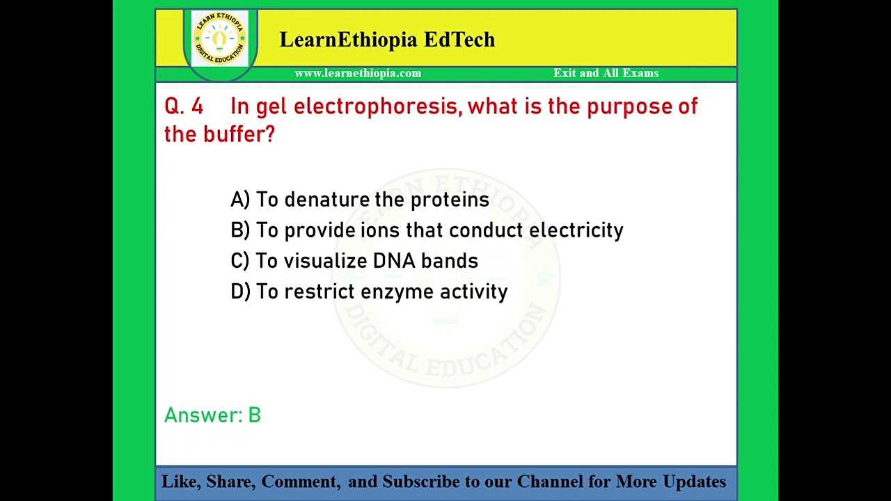 molecular biology exam questions and answers