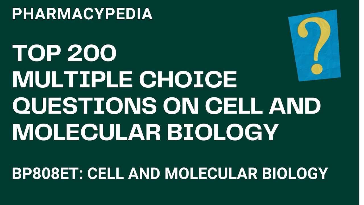 molecular biology exam questions and answers