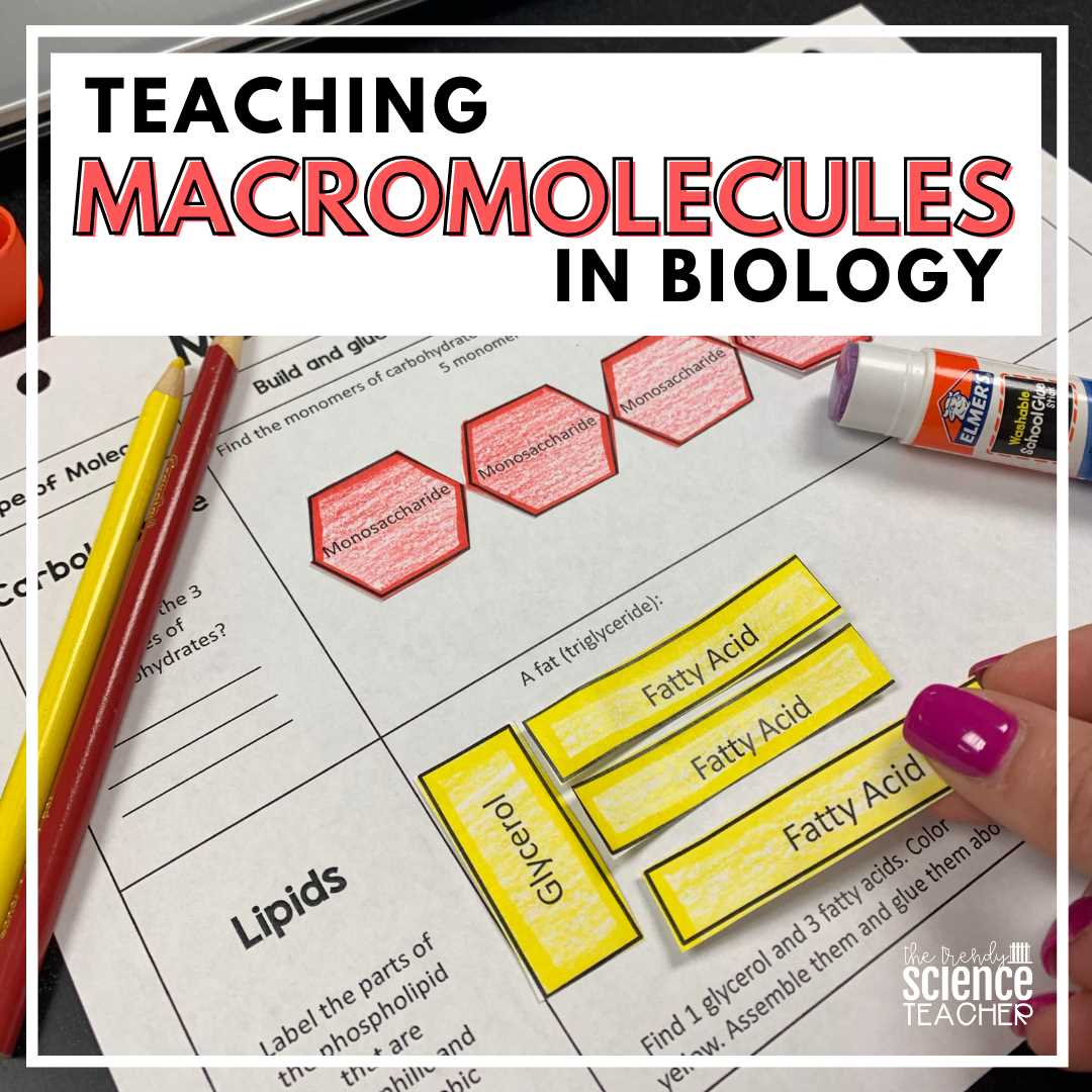 molecules of life worksheet answers