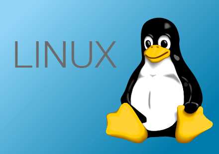 ndg linux essentials chapter 11 exam answers