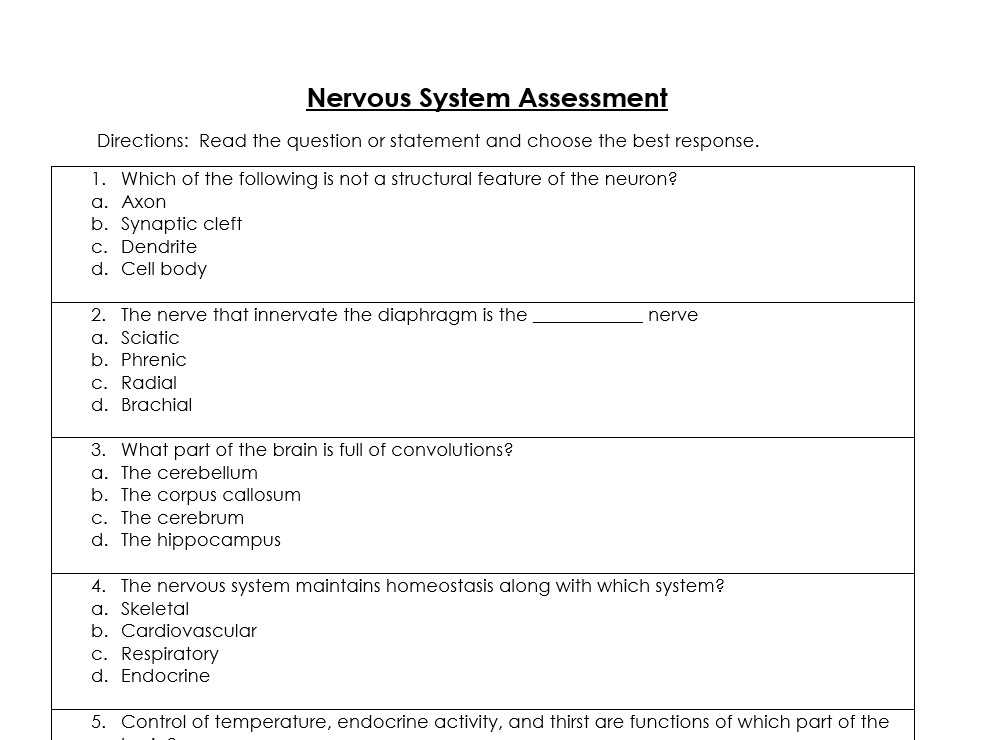 nervous system exam questions