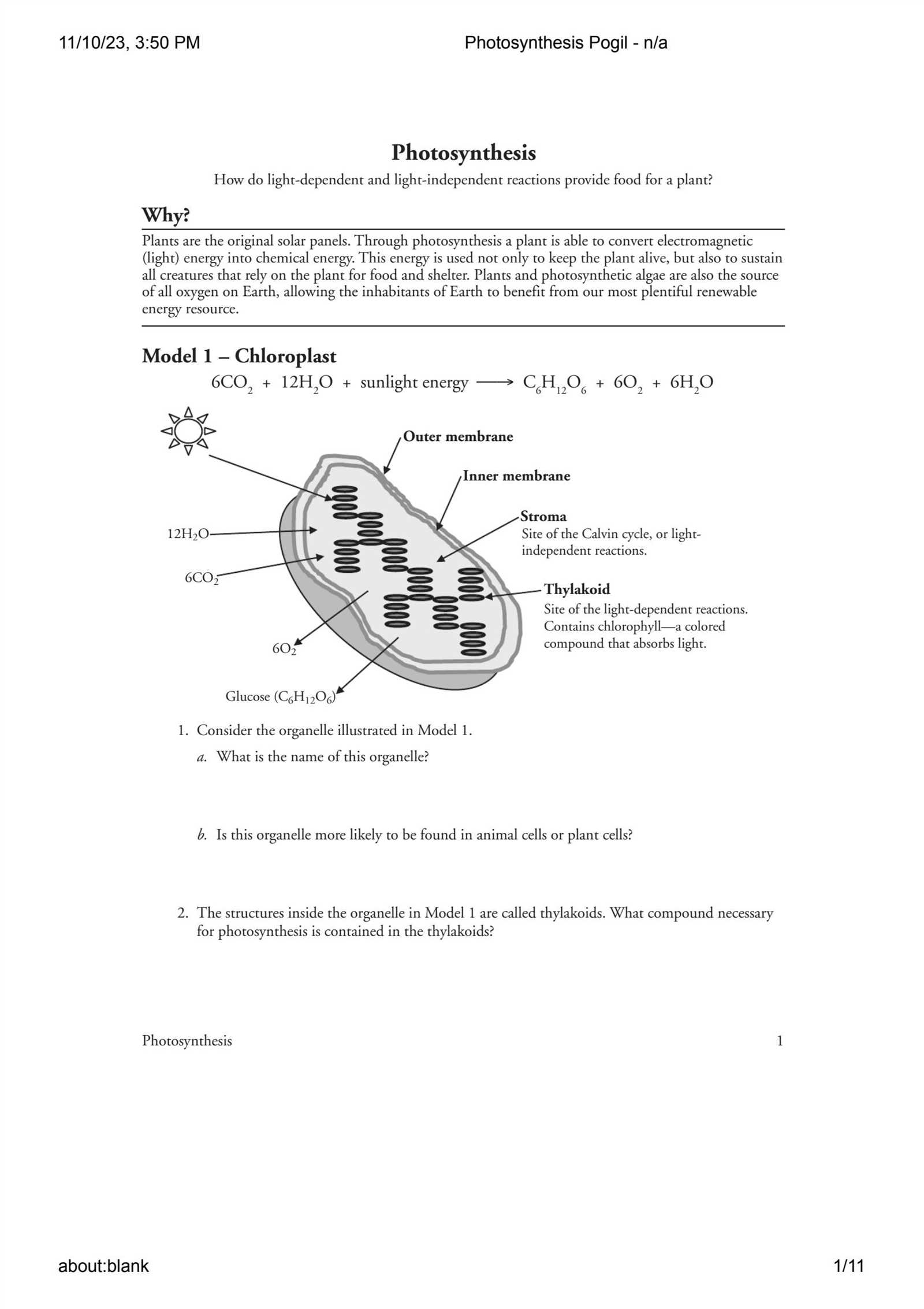 photosynthesis pogil answer key