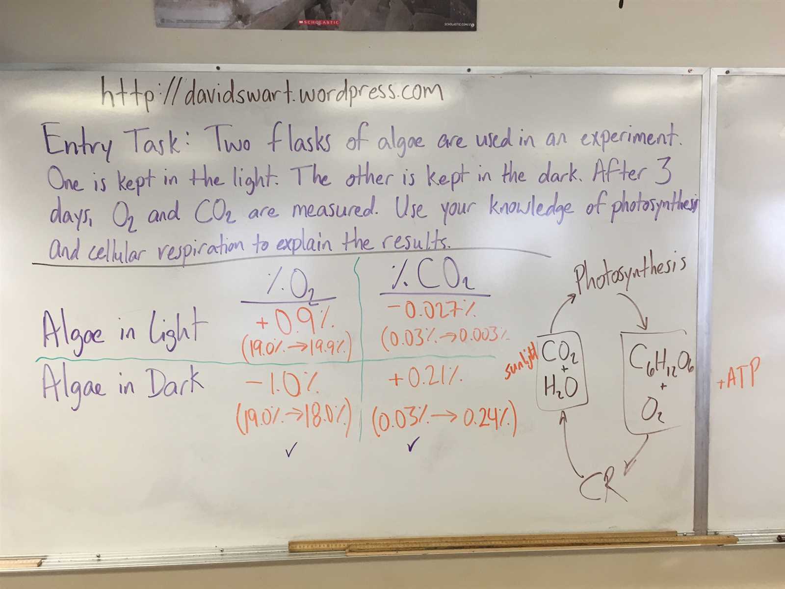 photosynthesis pogil answer key