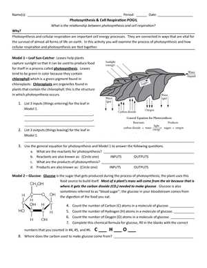 photosynthesis pogil answer key