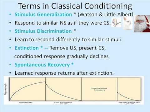 psychology 2301 exam 2