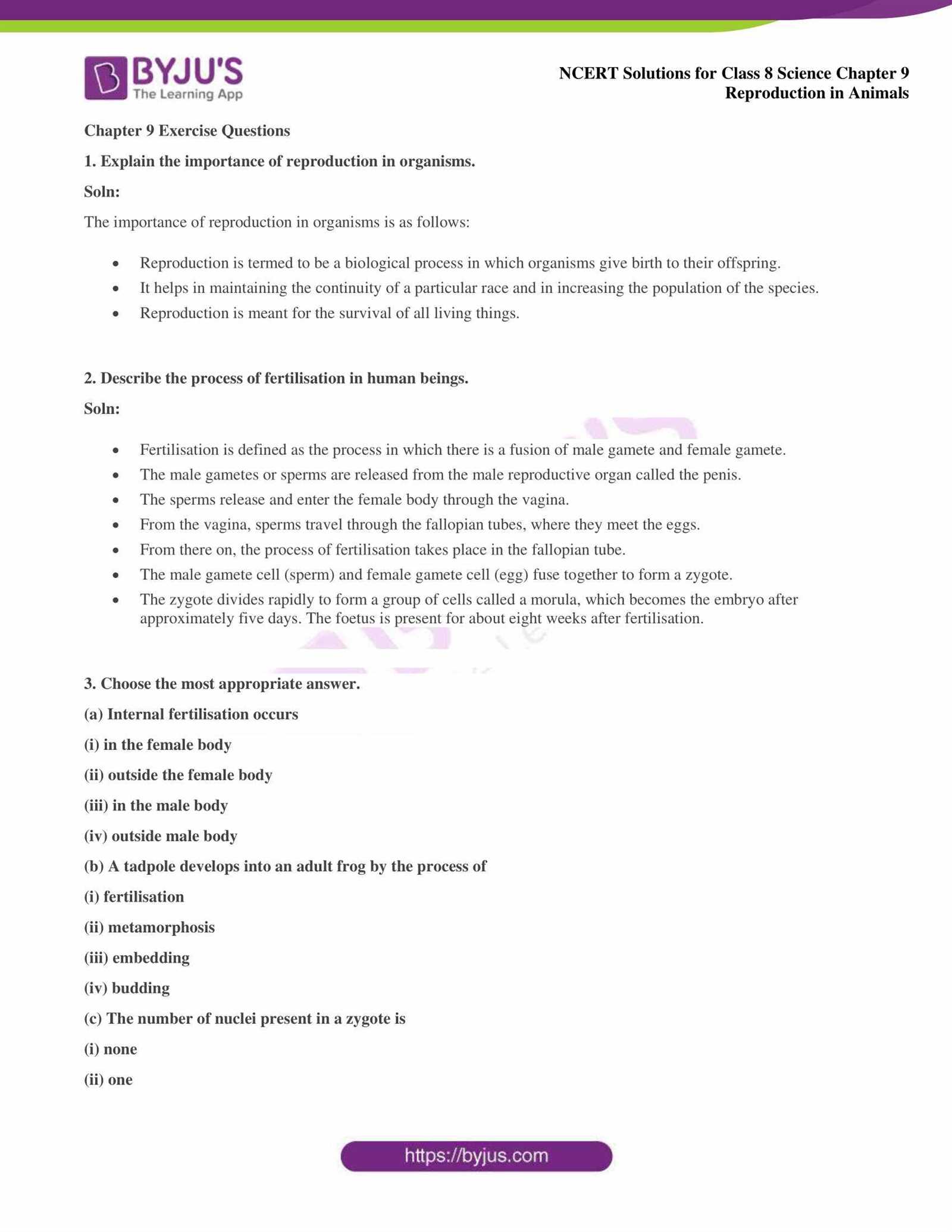 science fusion grade 5 answer key