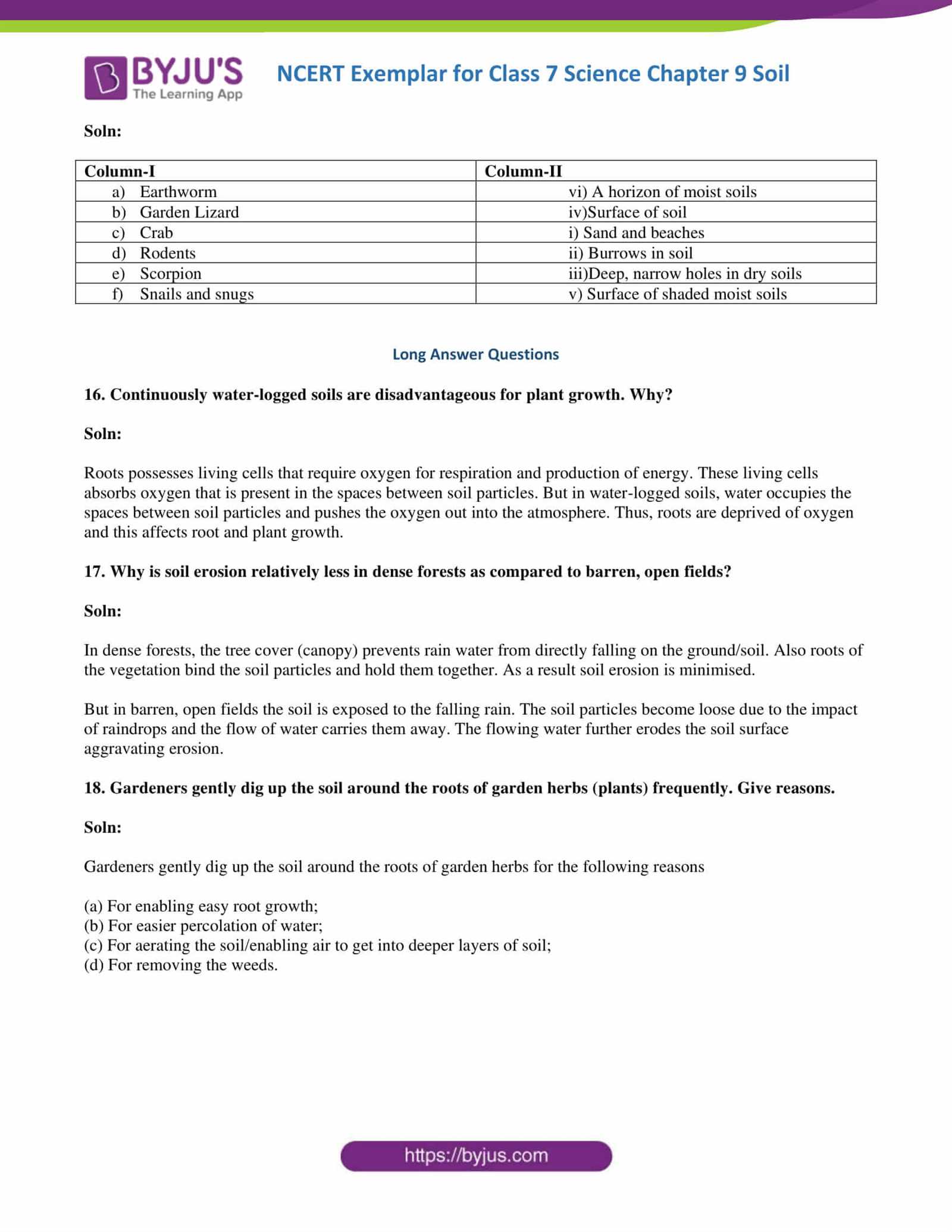 soil science exam questions and answers