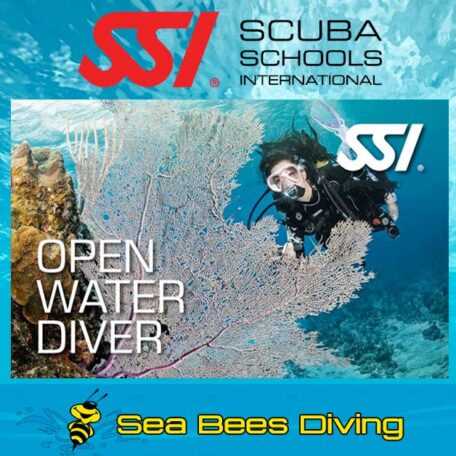 ssi open water diver exam answers