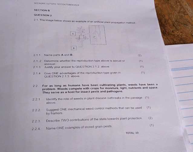 topic 11 test answers