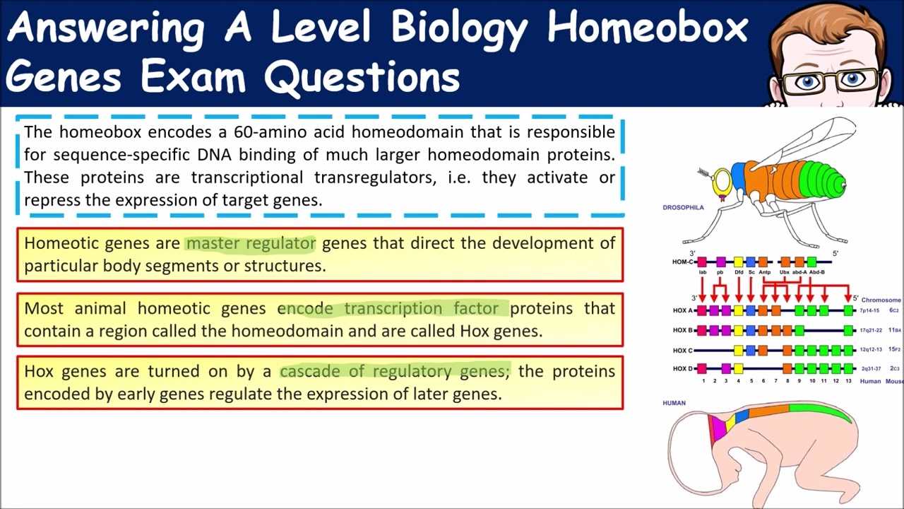 transcription exam questions with answers