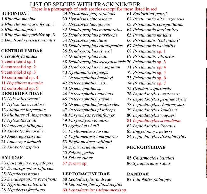 unit 5 level e vocab answers