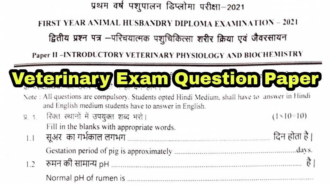 veterinary exam questions and answers