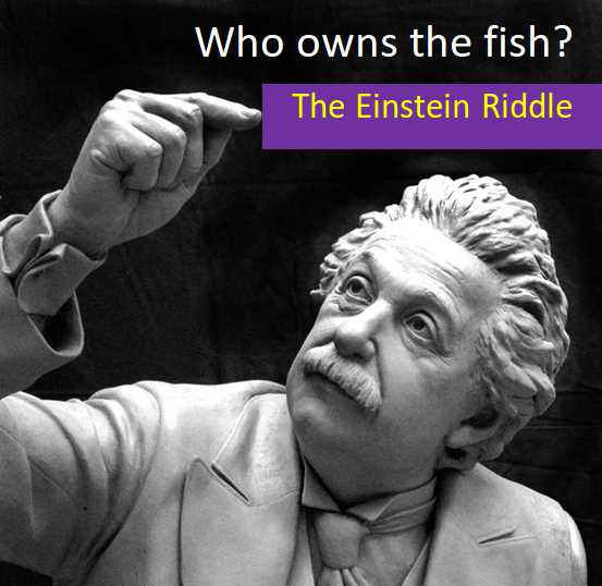 who owns the fish answer