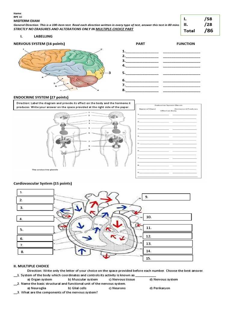 anatomy and physiology 1 midterm exam answers