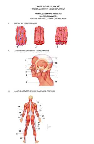 anatomy and physiology lab midterm exam