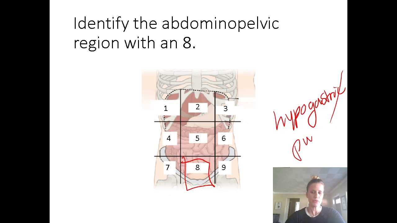 anatomy and physiology lab midterm exam