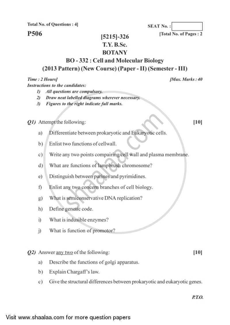 molecular biology exam questions and answers