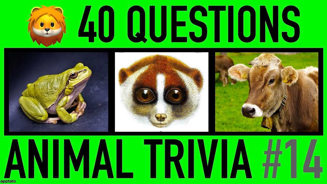 pet trivia questions and answers