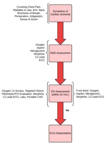 heartcode acls patient cases answers