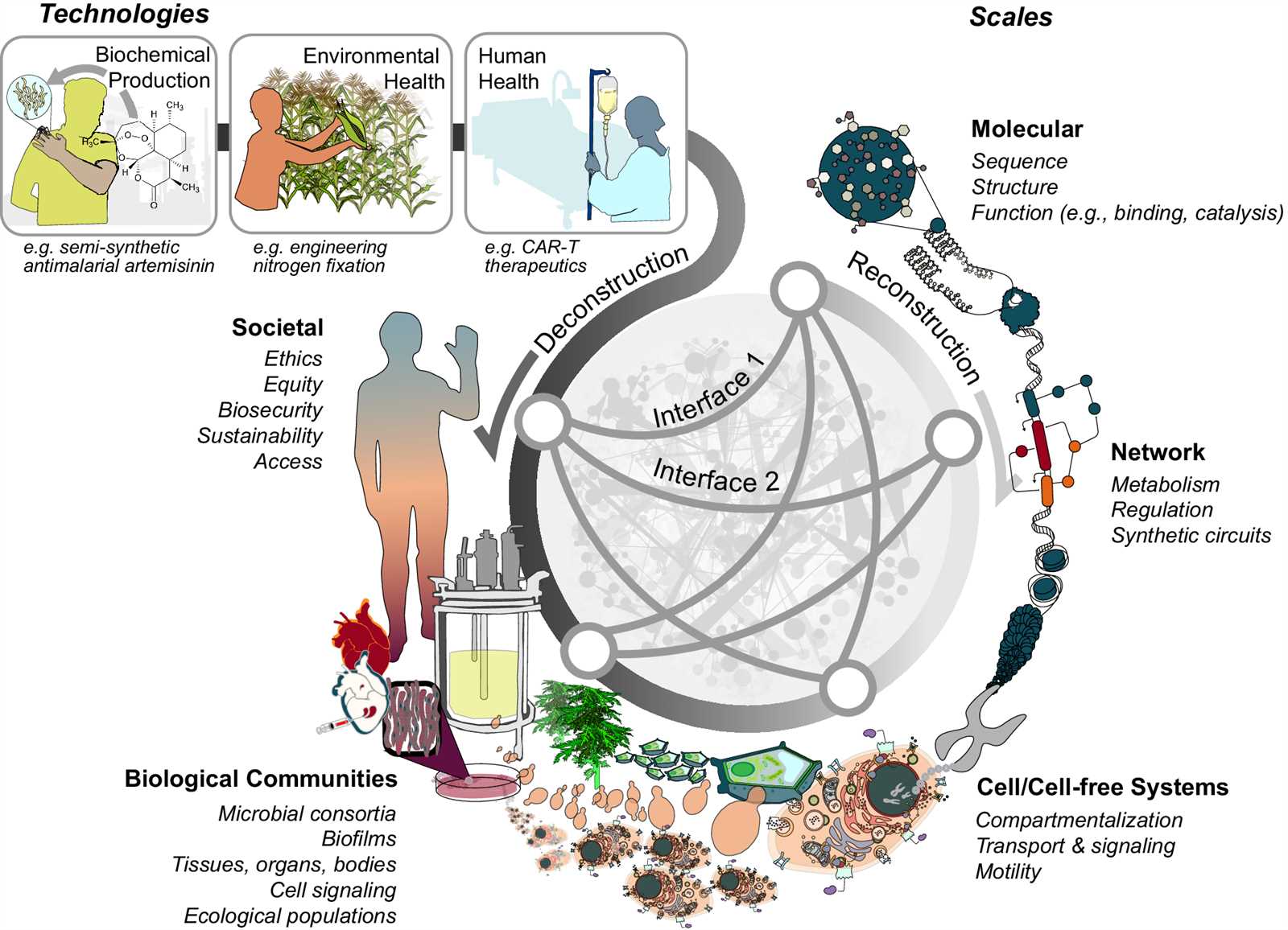 topic 1 biochemistry and the molecules of life answers