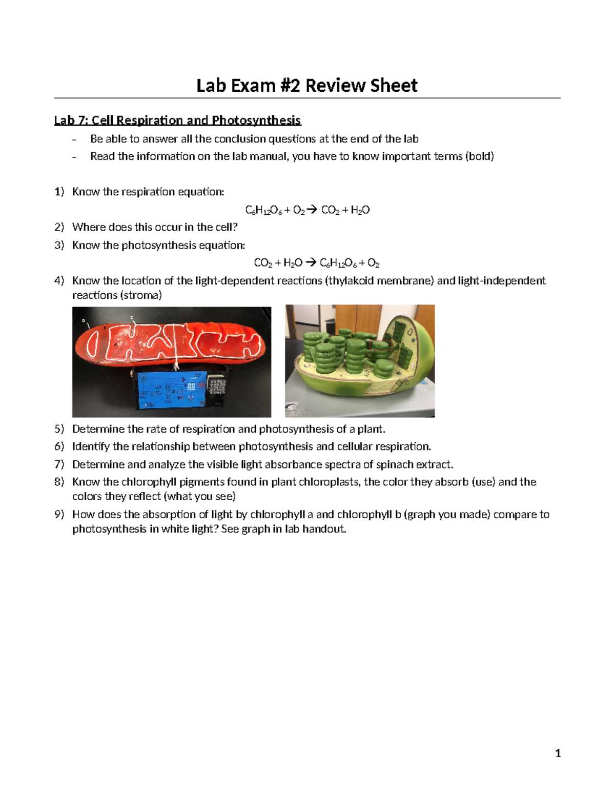 biology 1406 exam 4 answers