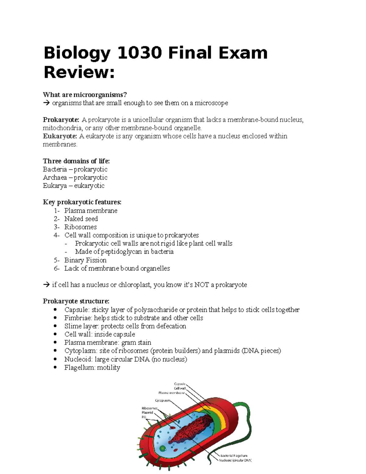 biology a final exam review answers