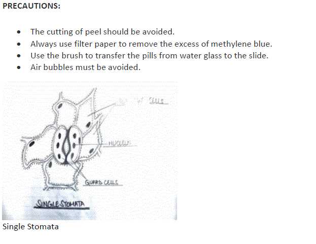 biology lab exam practice