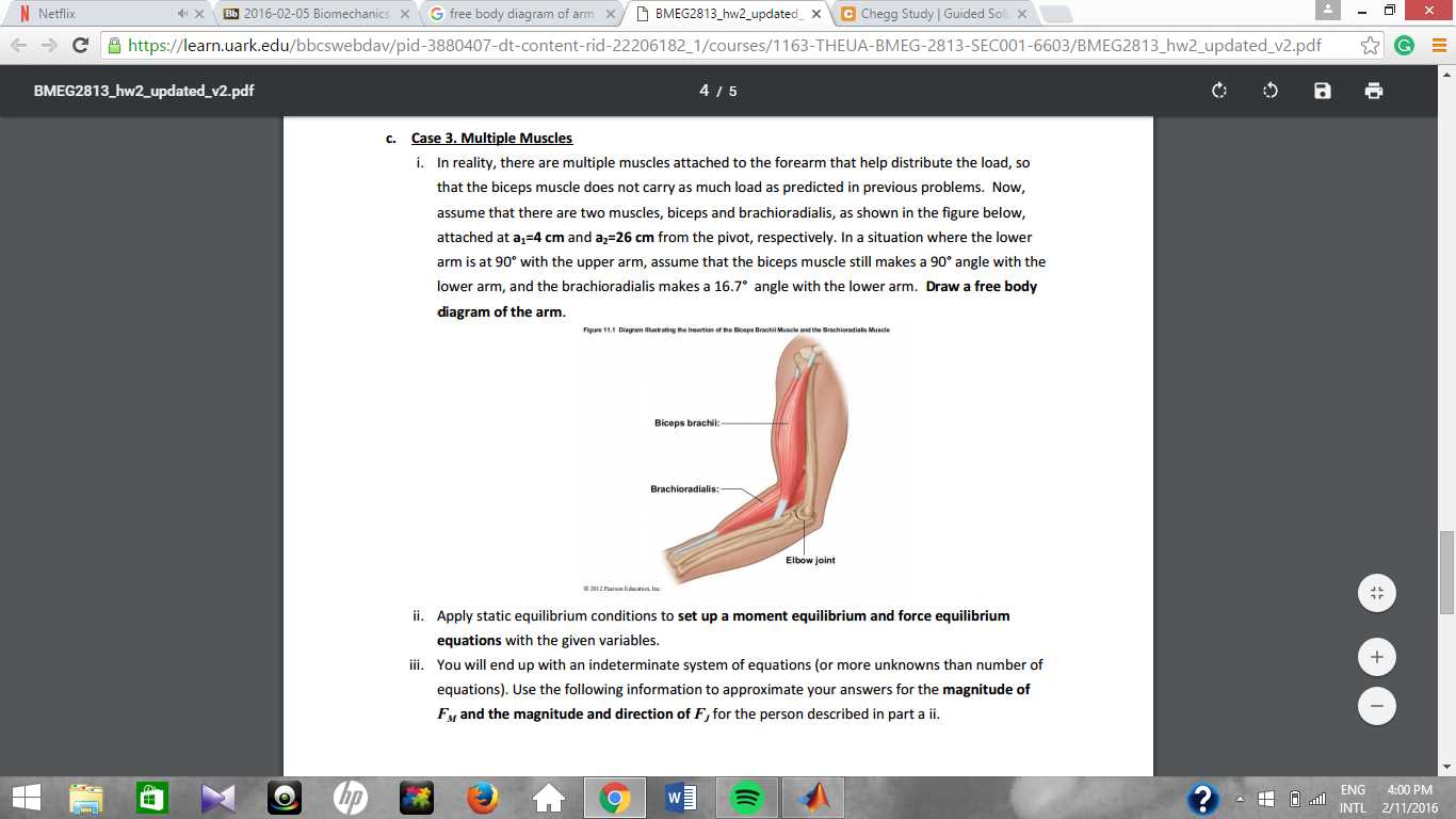 biomechanics exam questions and answers