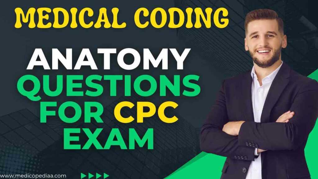 cpc exam anatomy questions and answers