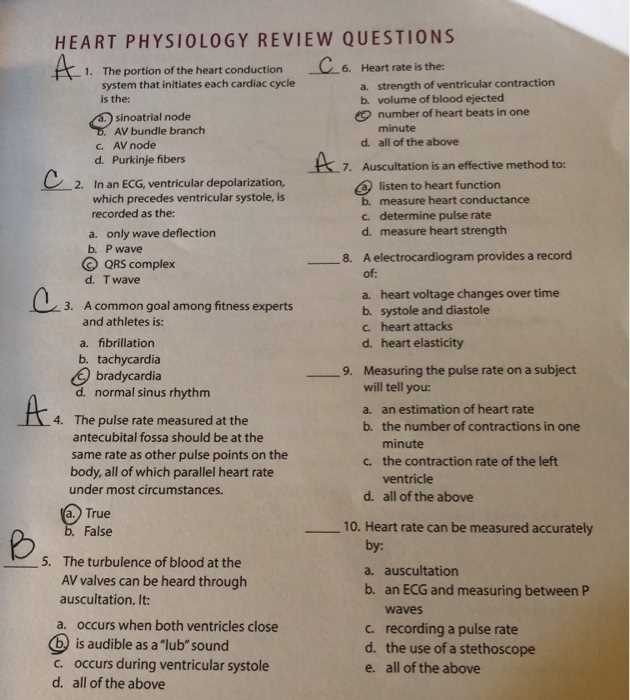 cardiovascular physiology exam questions and answers