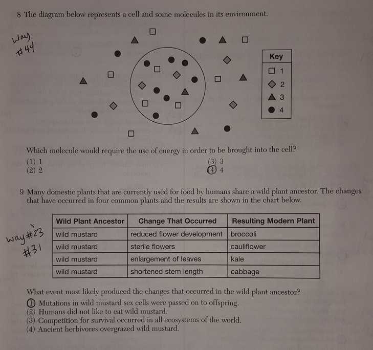 june 2009 living environment regents exam answers