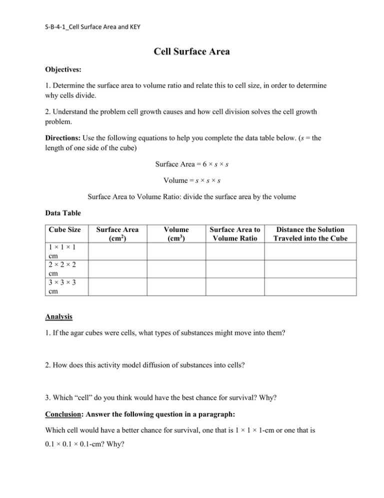 cell size worksheet answer key