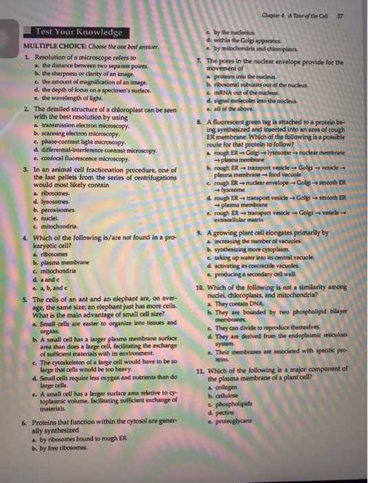 cell structure and function chapter 7 assessment answers