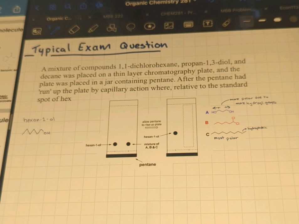 chromatography exam questions and answers