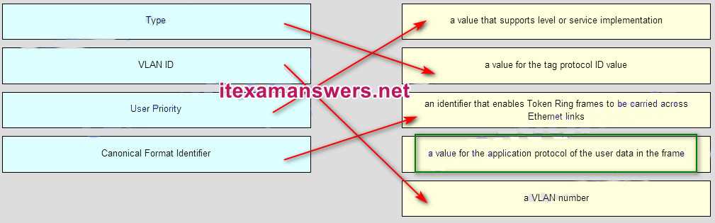 cisco networking academy chapter 3 exam answers