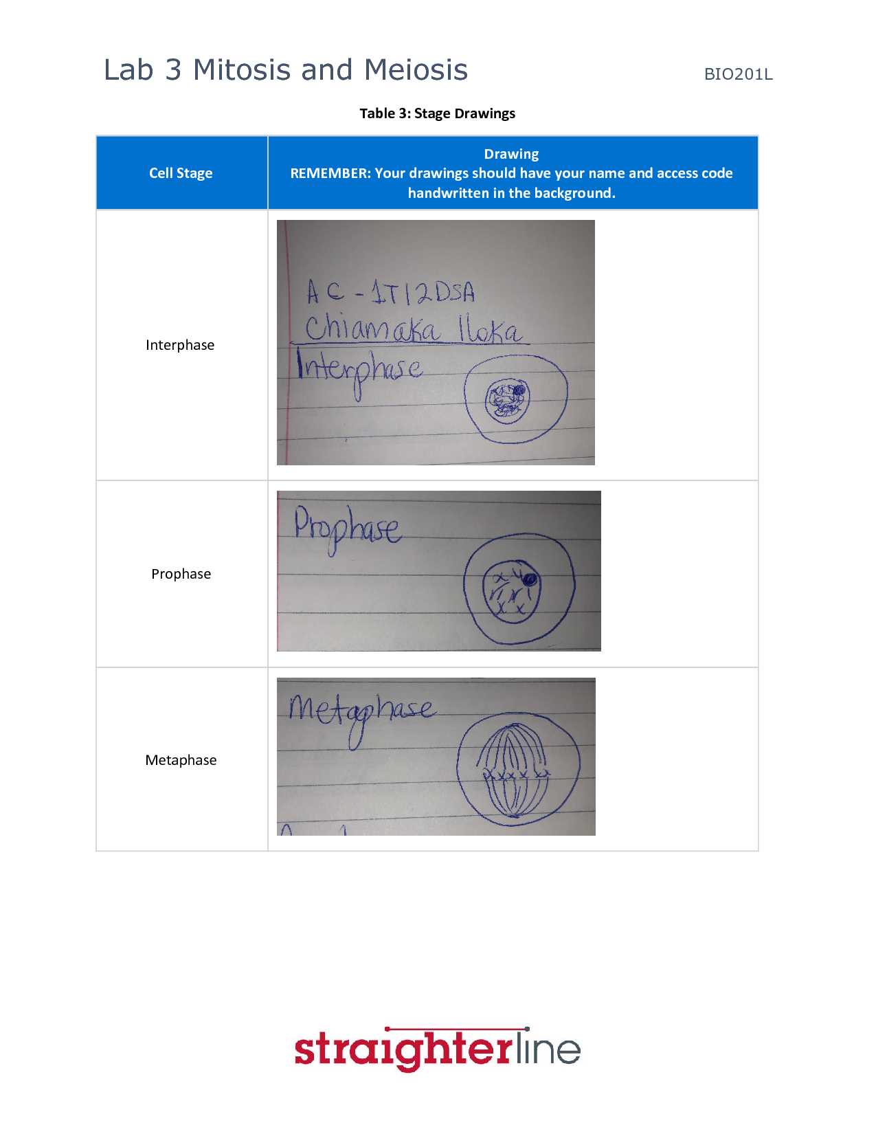 lab 3 mitosis and meiosis answers