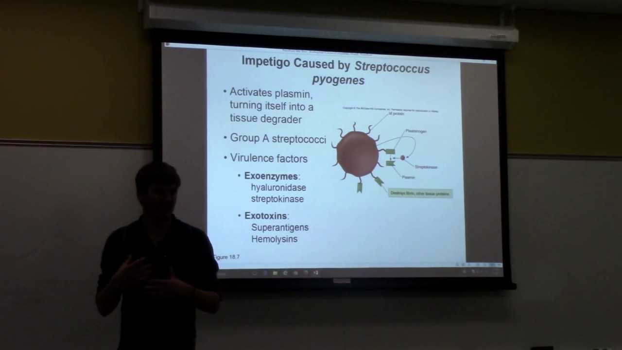 microbiology final exam