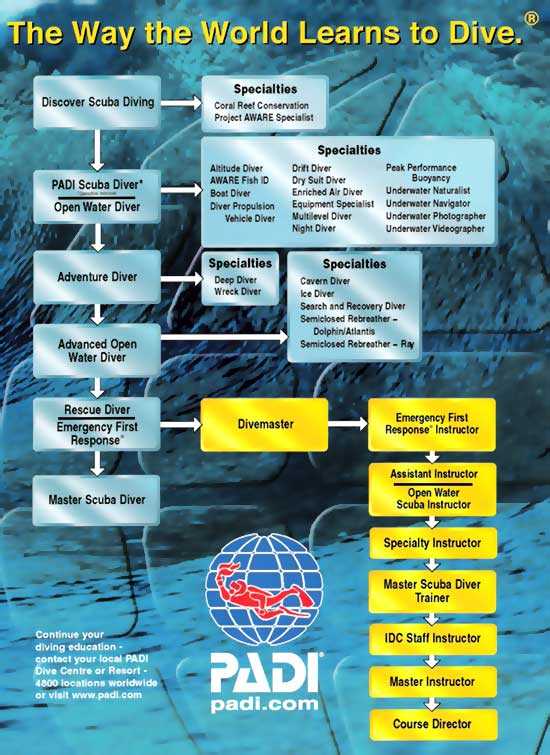 padi exam open water answer