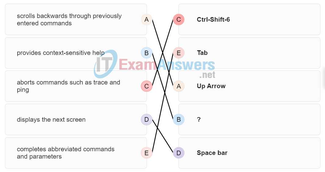 word module 2 exam answers