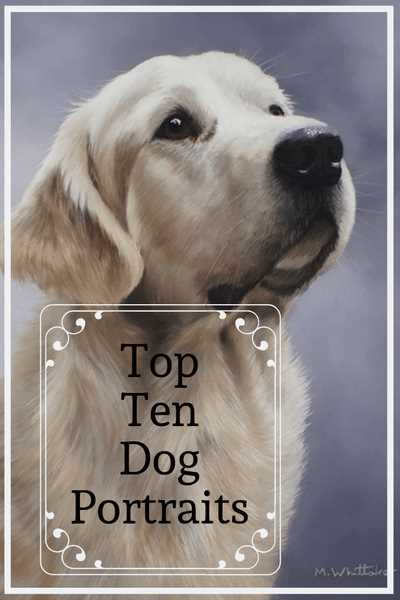 dog trivia questions and answers