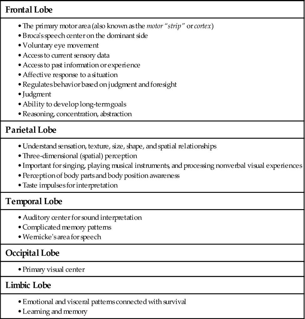 nervous system exam questions