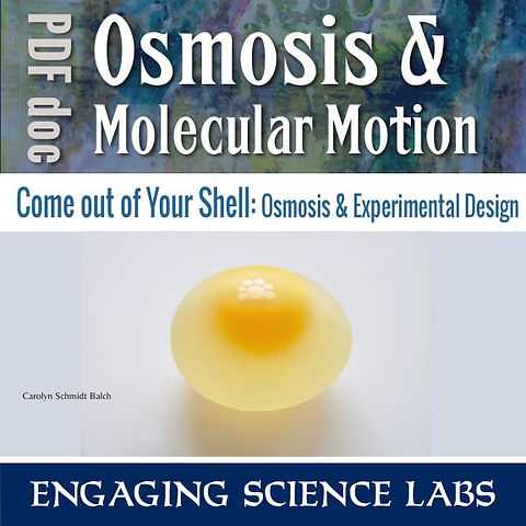 egg lab osmosis and diffusion answers