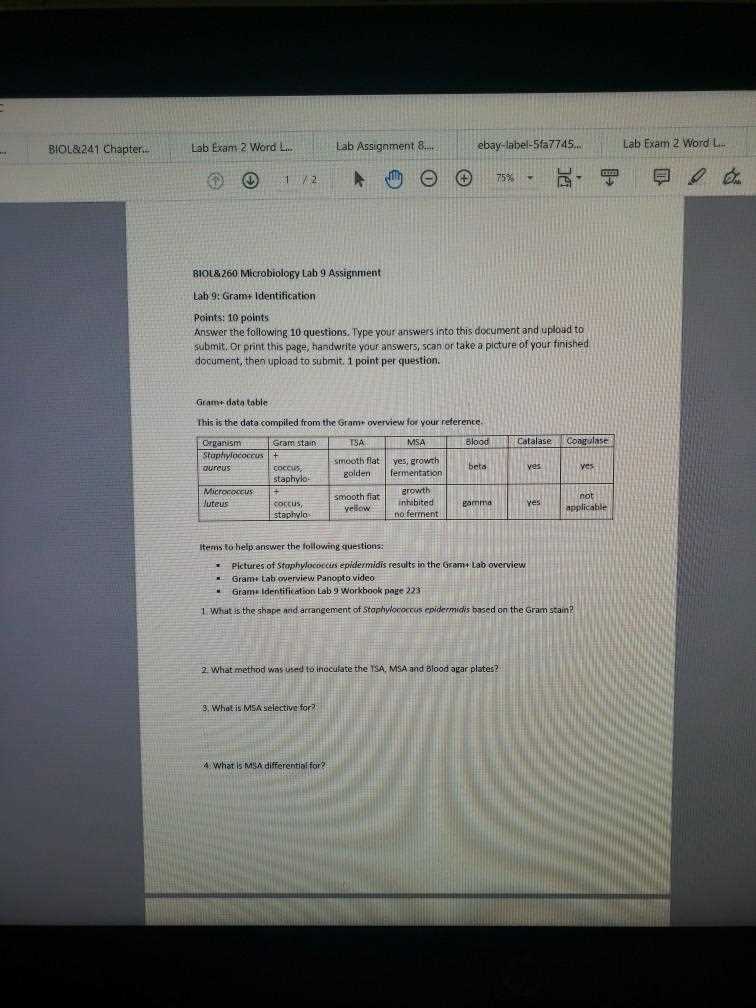 microbiology lab practical exam 2