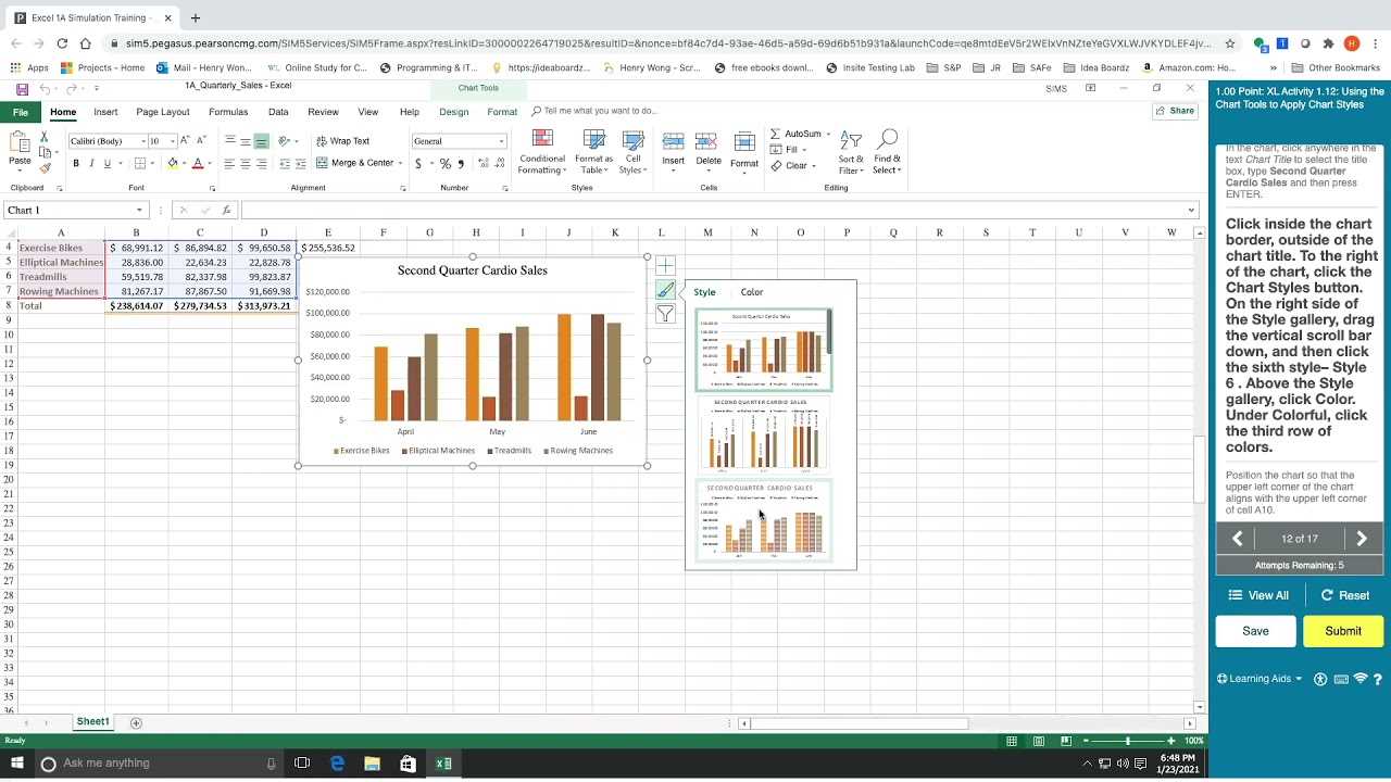 excel chapter 1 simulation exam