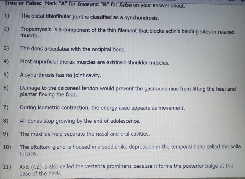 anatomy physiology final exam answers