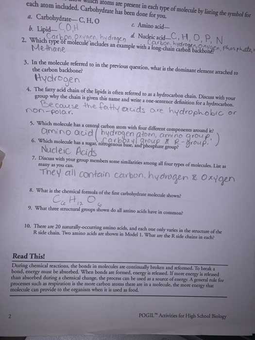 molecules of life worksheet answers